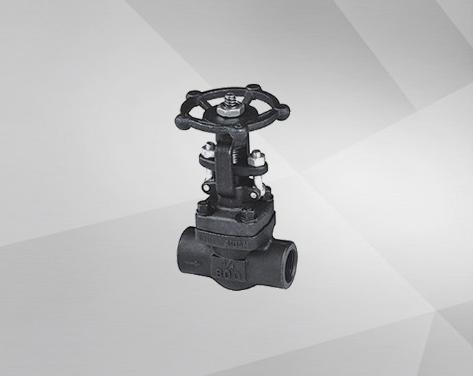 Z11H Forged Steel Threaded Gate Valve